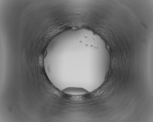 X0000110690335200906121101
