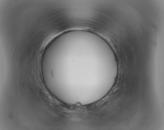 X0000110690337200906121100