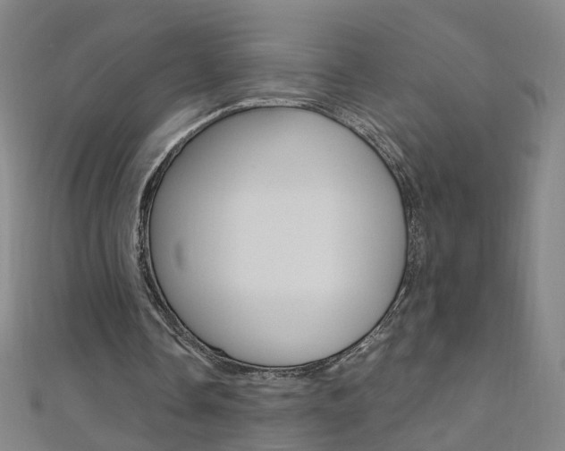 X0000110690338200906121100