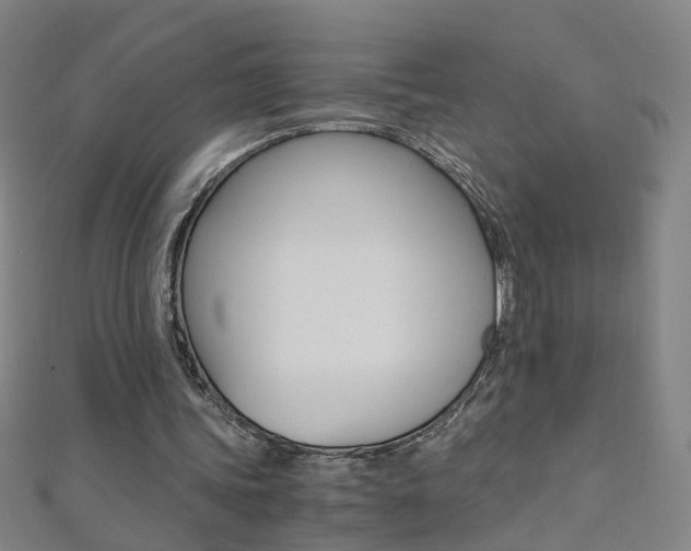 X0000110690339200906121100