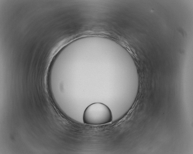 X0000110690340200906121100