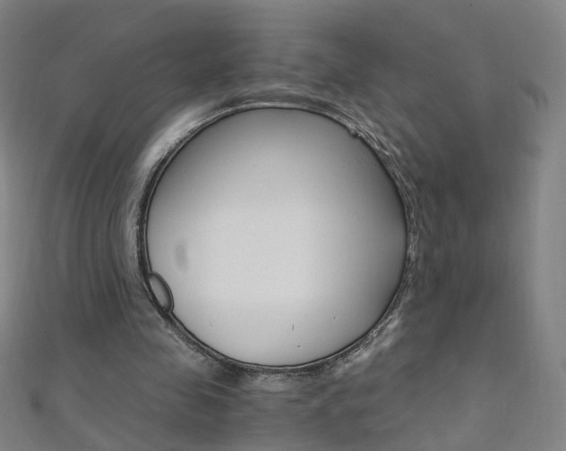 X0000110690341200906121100