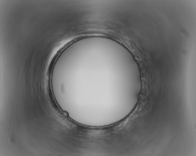 X0000110690342200906121100