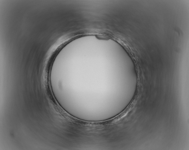 X0000110690343200906121100