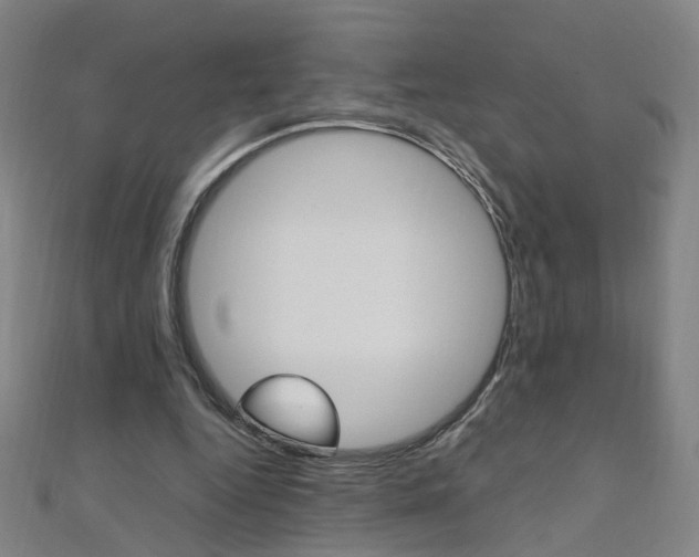 X0000110690344200906121100