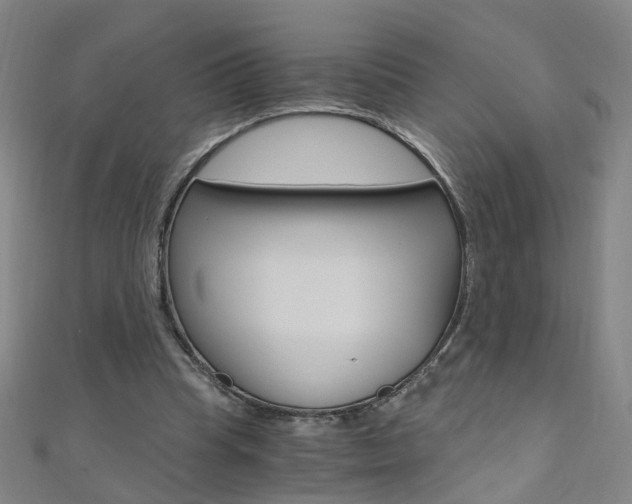 X0000110690345200906121100