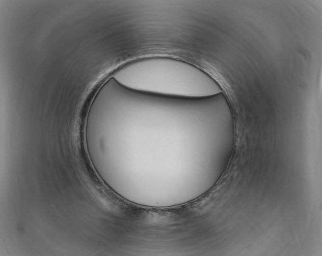 X0000110690346200906121100