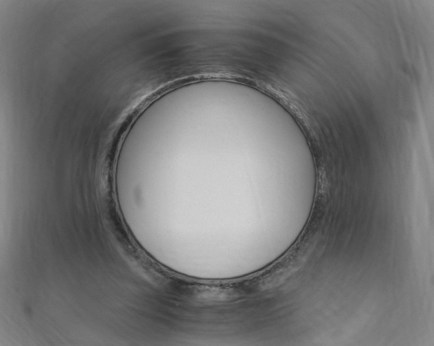 X0000110690347200906121100