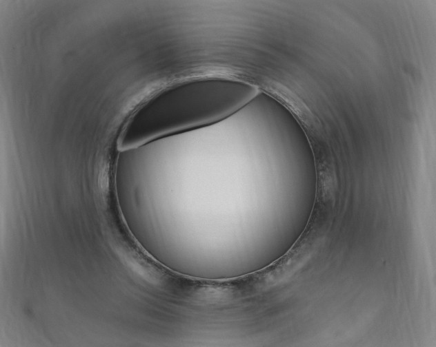 X0000110690350200906121100