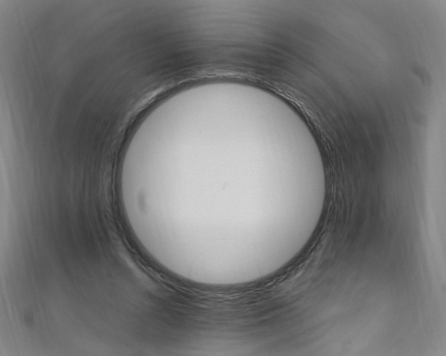 X0000110690352200906121100