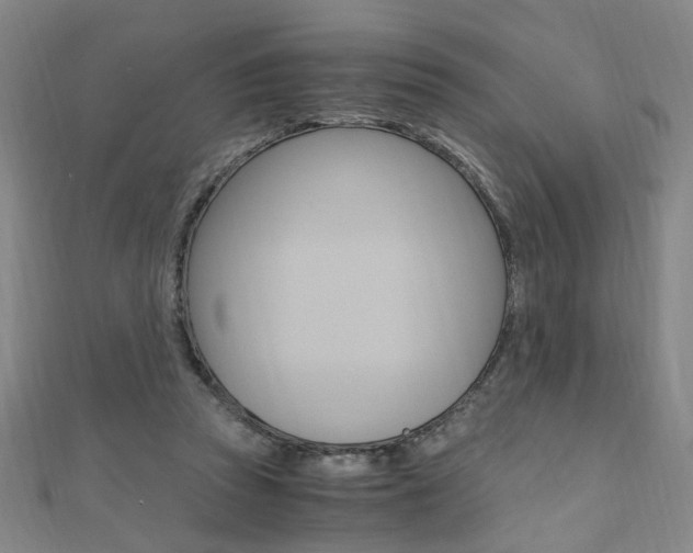 X0000110690353200906121101