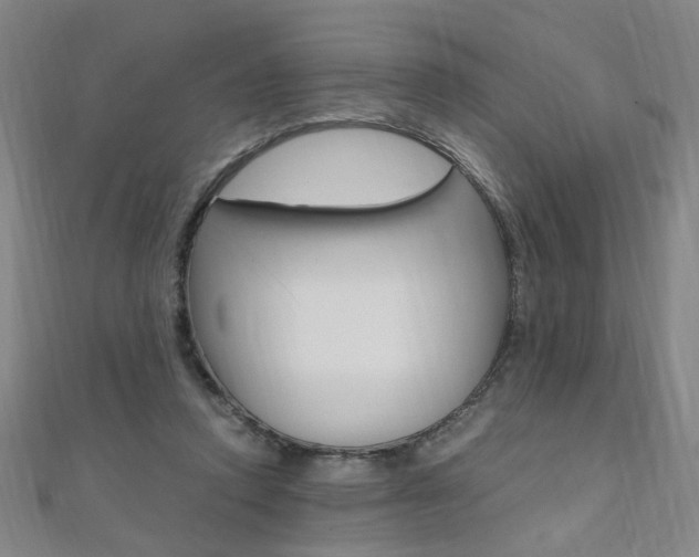 X0000110690354200906121101