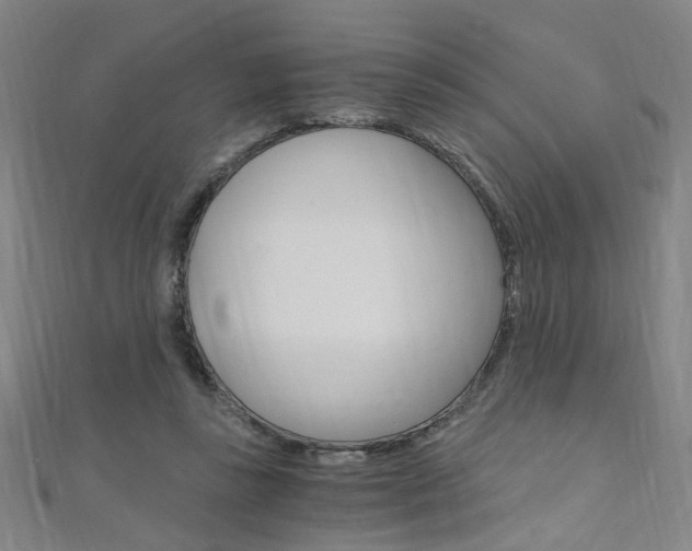 X0000110690355200906121101