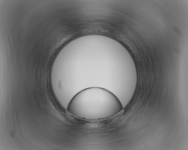 X0000110690356200906121101