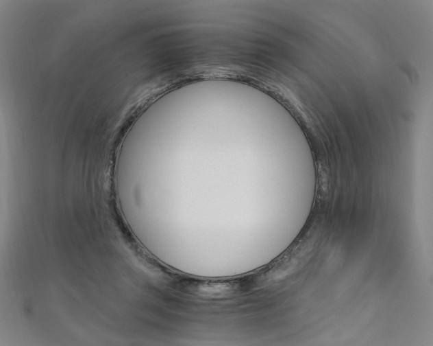 X0000110690357200906121101