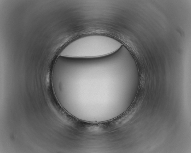 X0000110690358200906121101