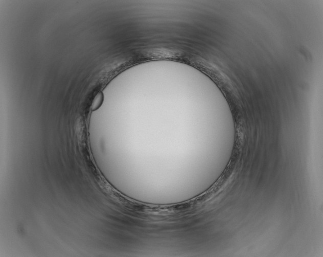 X0000110690359200906121101