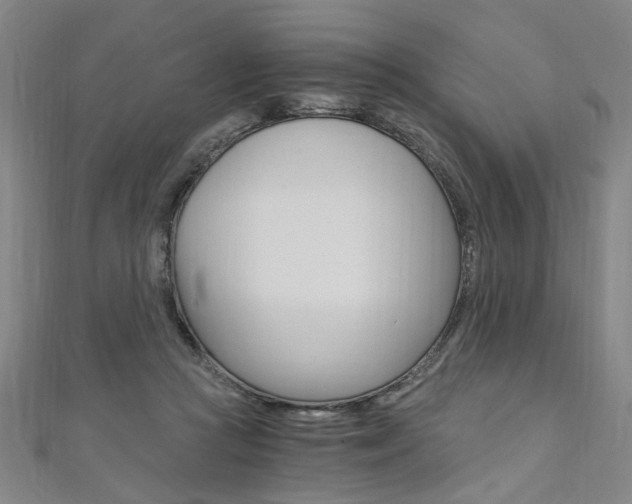 X0000110690361200906121101
