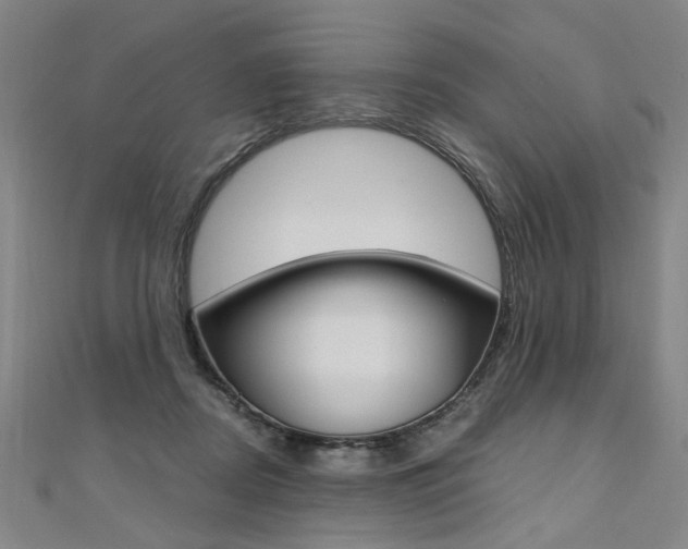 X0000110690362200906121101