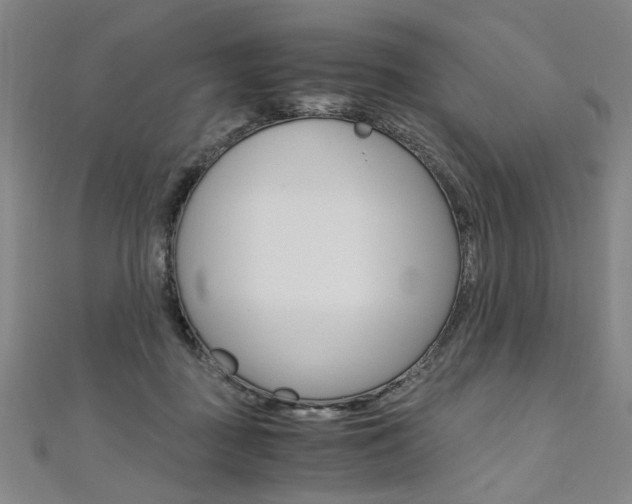 X0000110690363200906121101