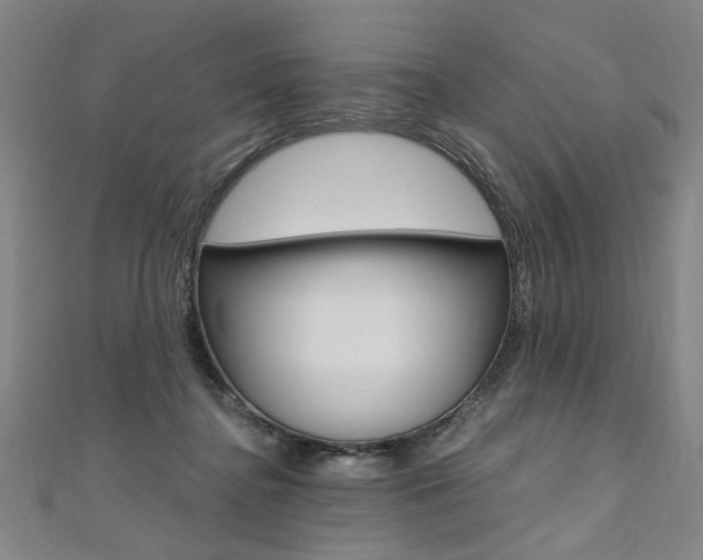 X0000110690364200906121101