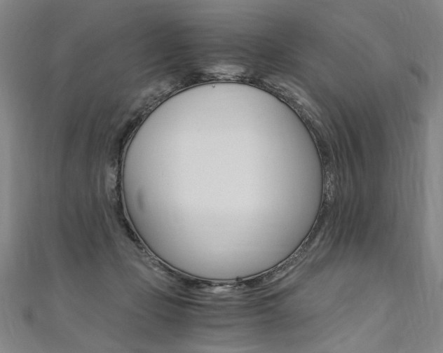 X0000110690365200906121101