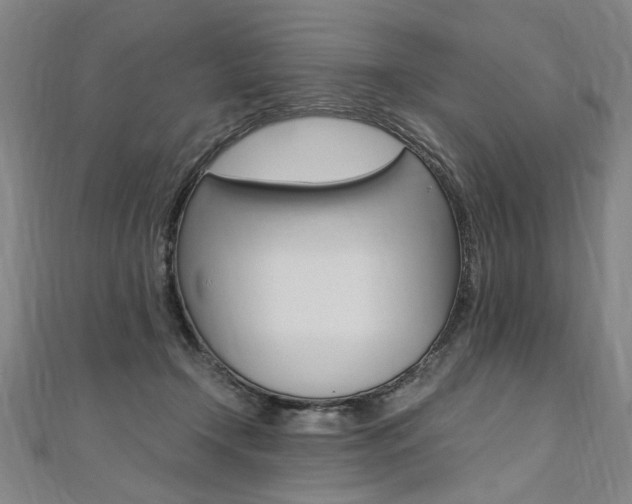 X0000110690366200906121101