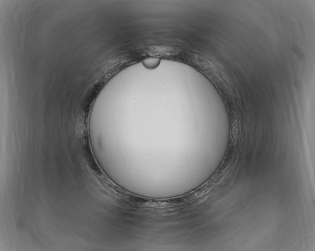 X0000110690367200906121101
