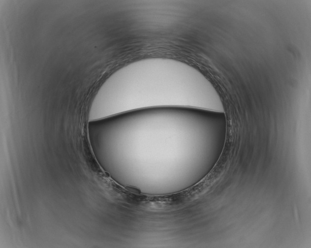X0000110690368200906121101