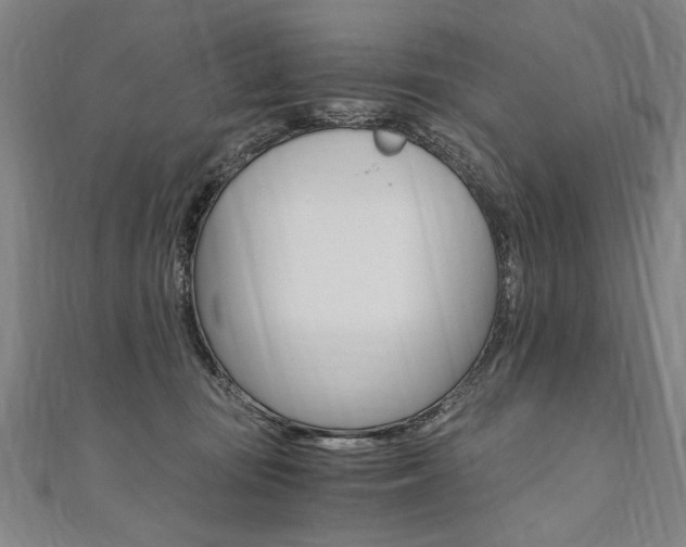 X0000110690371200906121101