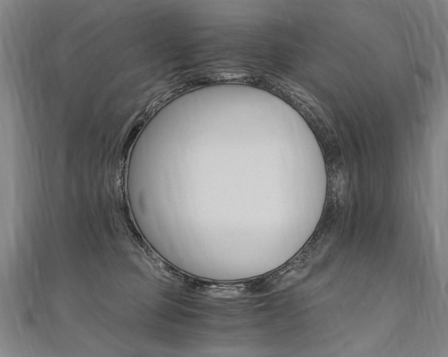 X0000110690373200906121101