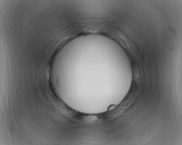 X0000110690374200906121101