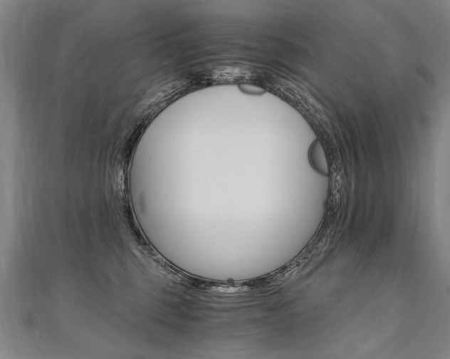 X0000110690375200906121101