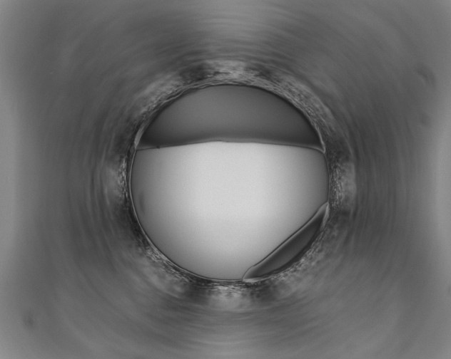 X0000110690376200906121101