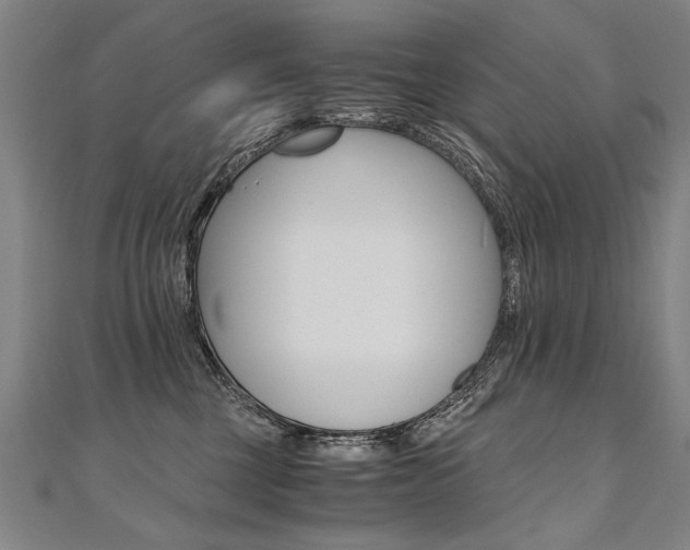 X0000110690377200906121101