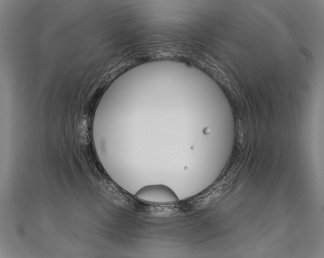 X0000110690378200906121101