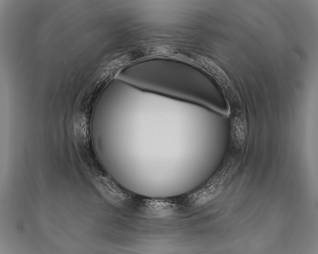 X0000110690380200906121101