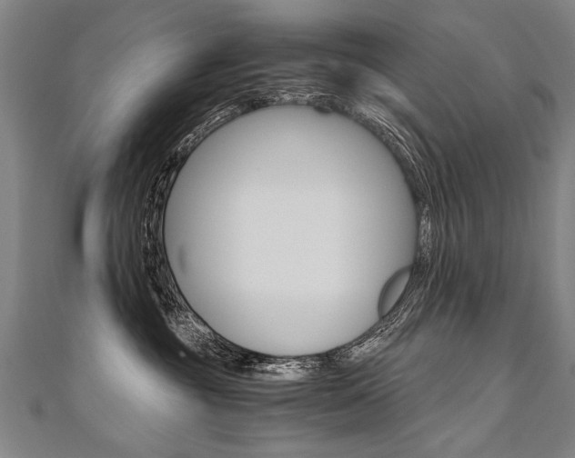 X0000110690381200906121101