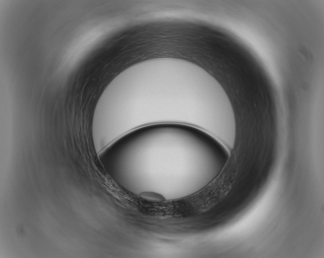 X0000110690382200906121101