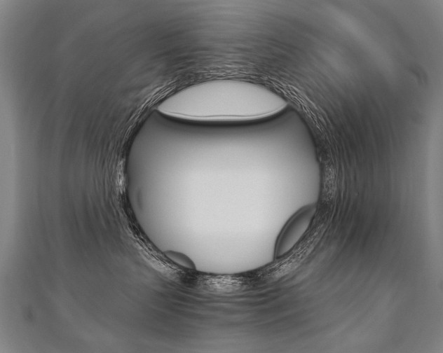 X0000110690383200906121101