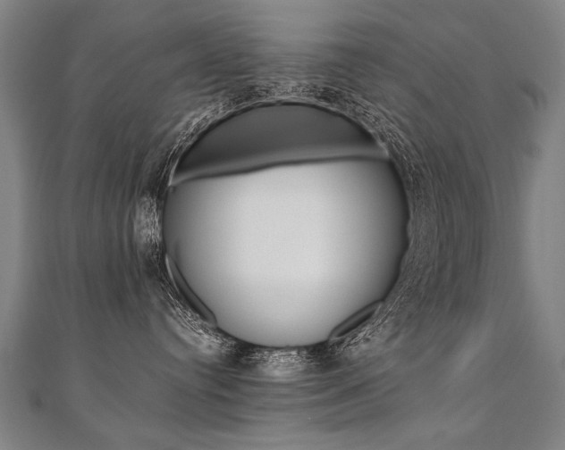 X0000110690384200906121101