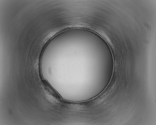 X0000110690389200906121100