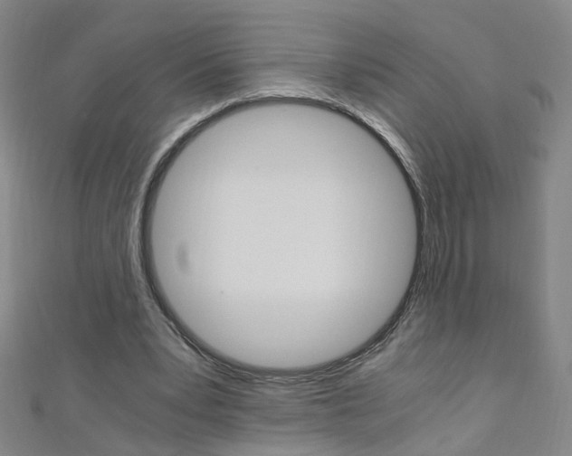 X0000110690391200906121100