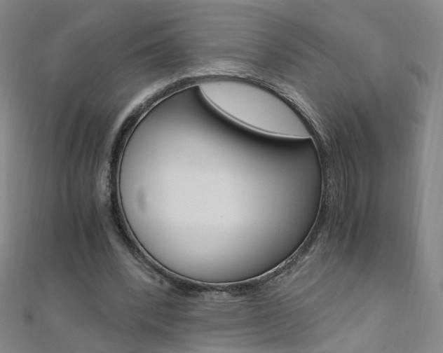 X0000110690392200906121100