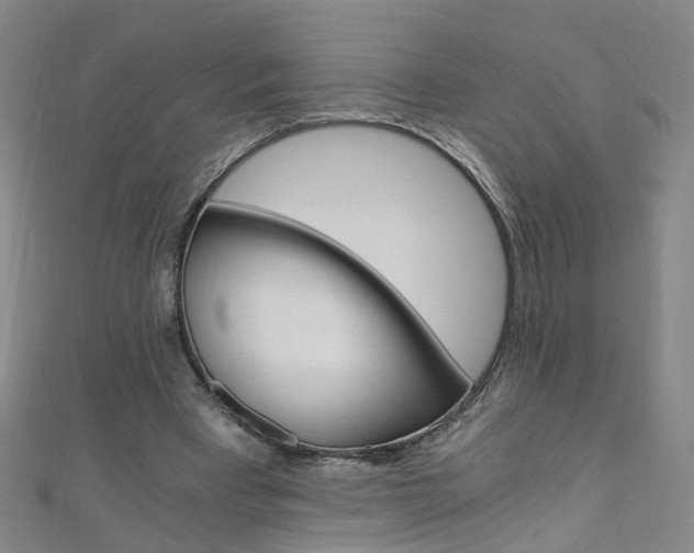 X0000110690393200906121100