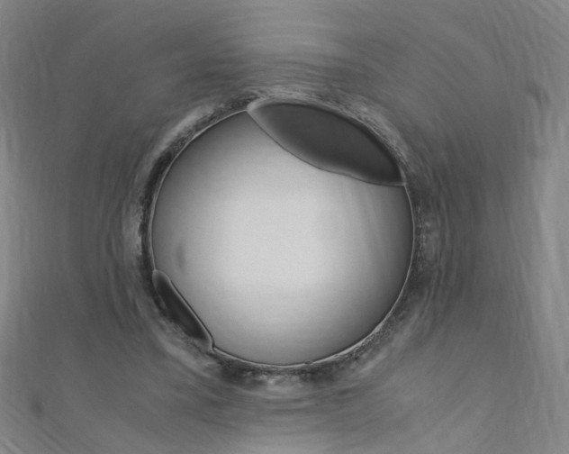 X0000110690395200906121100