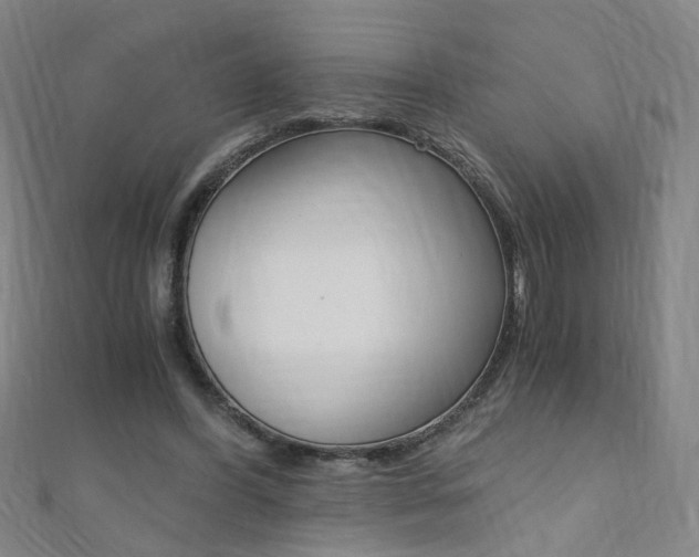 X0000110690396200906121100