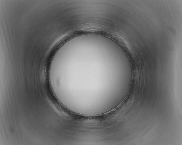 X0000110690400200906121100