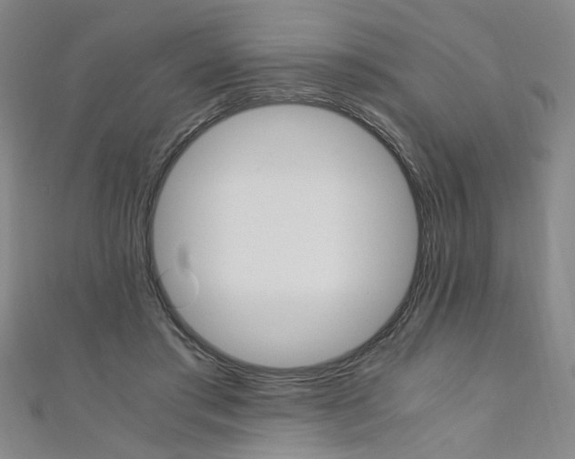 X0000110690405200906121100