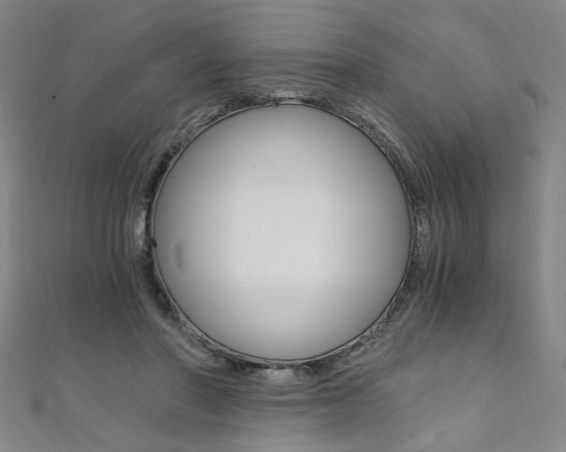 X0000110690406200906121100